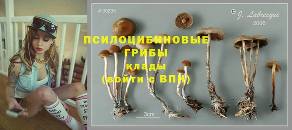 гидра Володарск