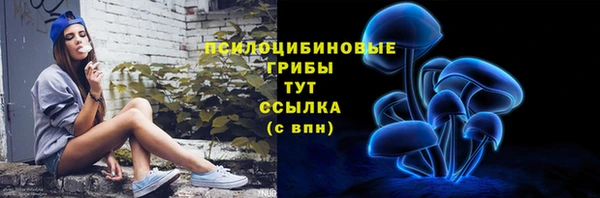 гидра Володарск
