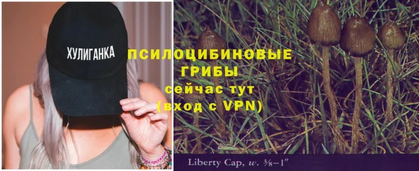 герыч Вяземский