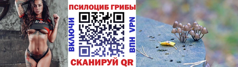Галлюциногенные грибы GOLDEN TEACHER  нарко площадка состав  Заинск  наркота 